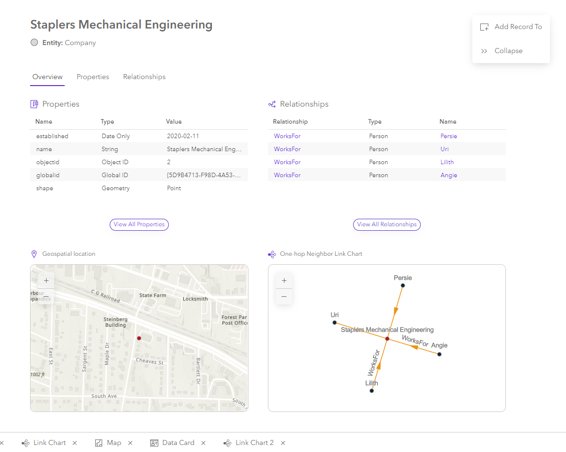 Content for a selected entity on the Overview tab in the knowledge graph view Content for a selected entity on the Overview tab in the knowledge graph view